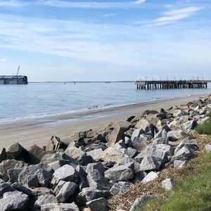 Meet your Posher, Mikki